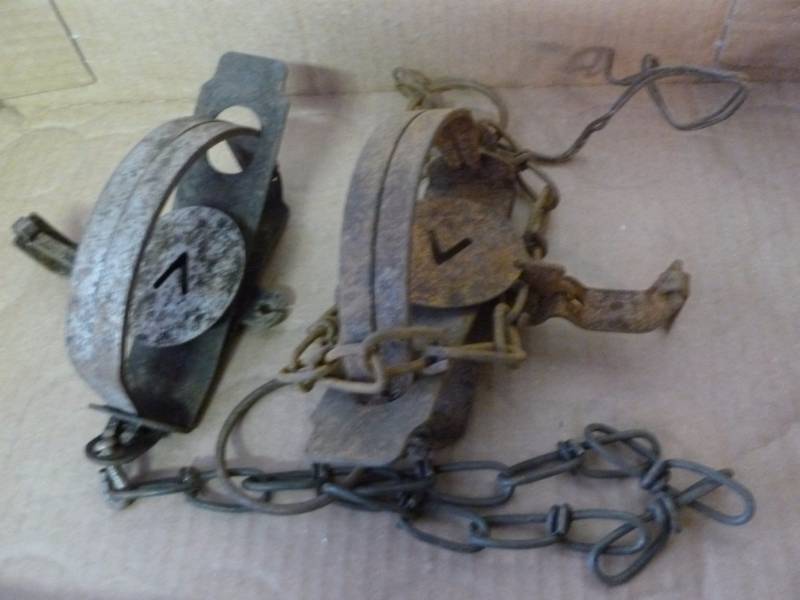 Vintage Traps