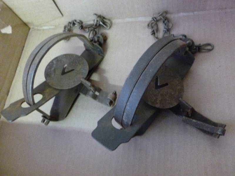 Vintage Traps