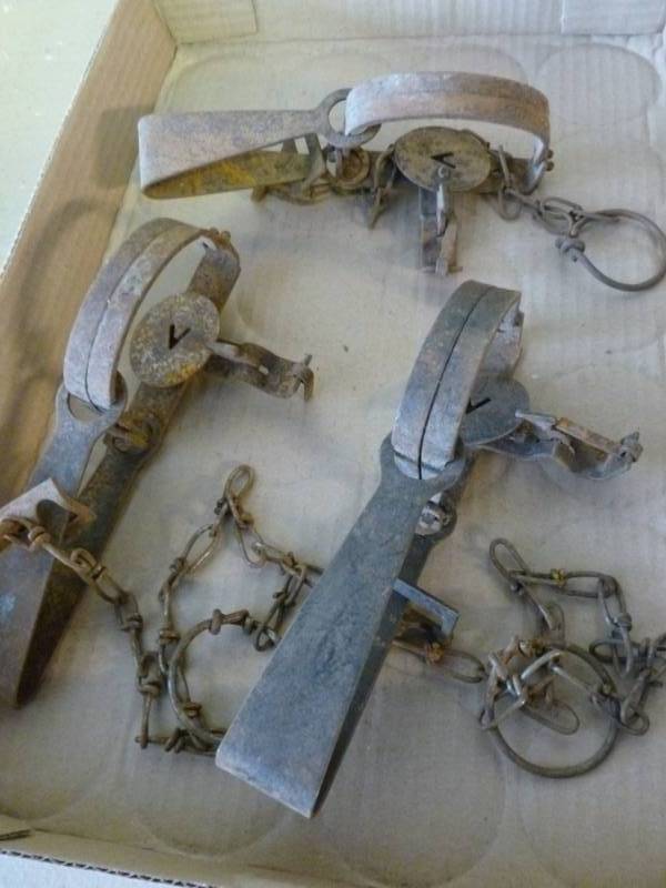 Vintage Traps