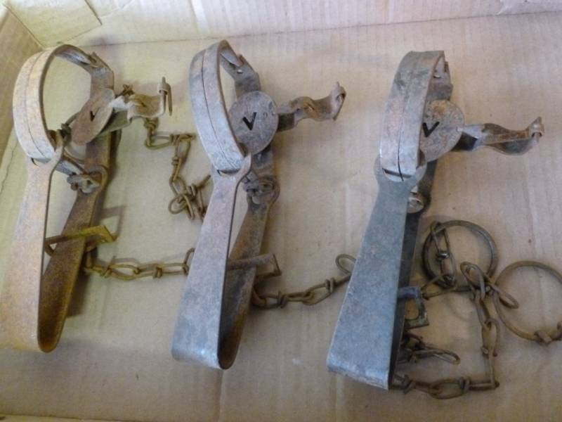 Vintage Traps