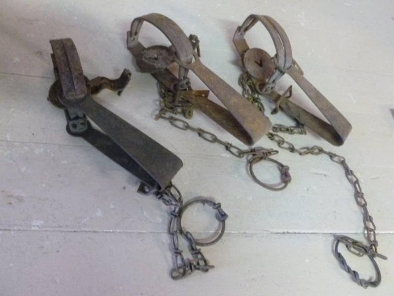 Vintage Traps