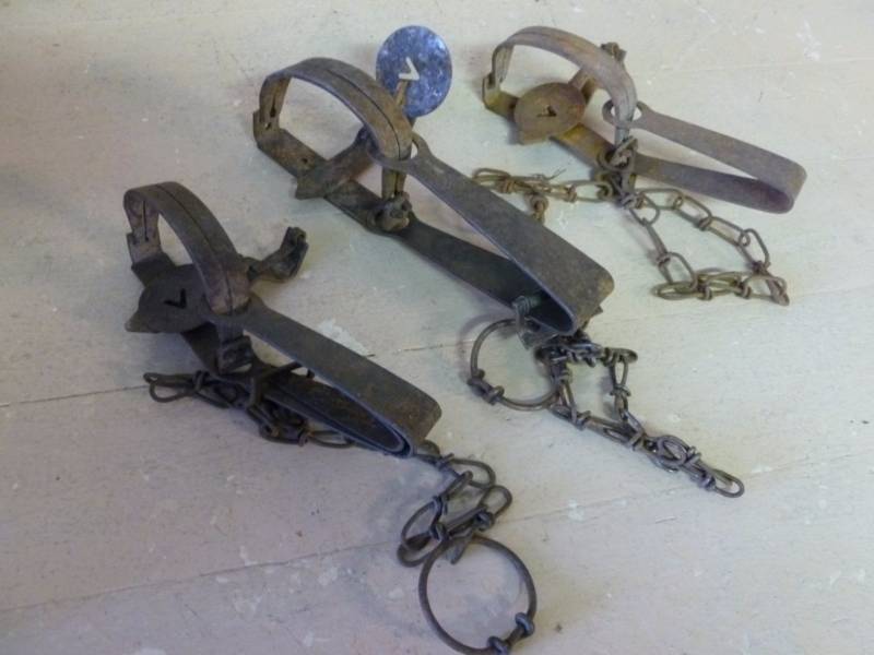 Vintage Traps