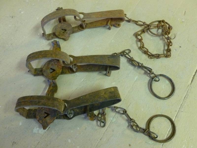 Vintage Traps