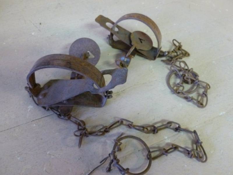 Vintage Traps