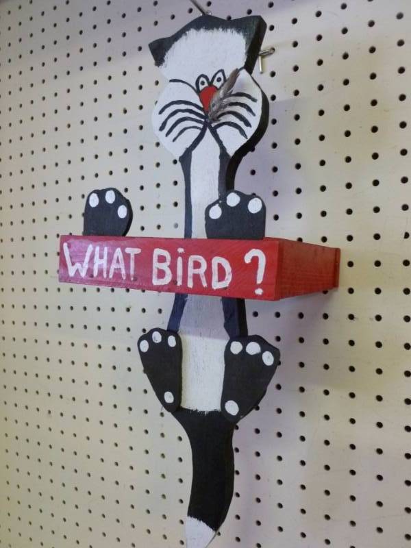 Bird Feeder