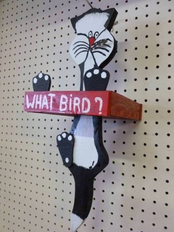 Bird Feeder