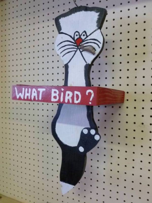 Bird Feeder