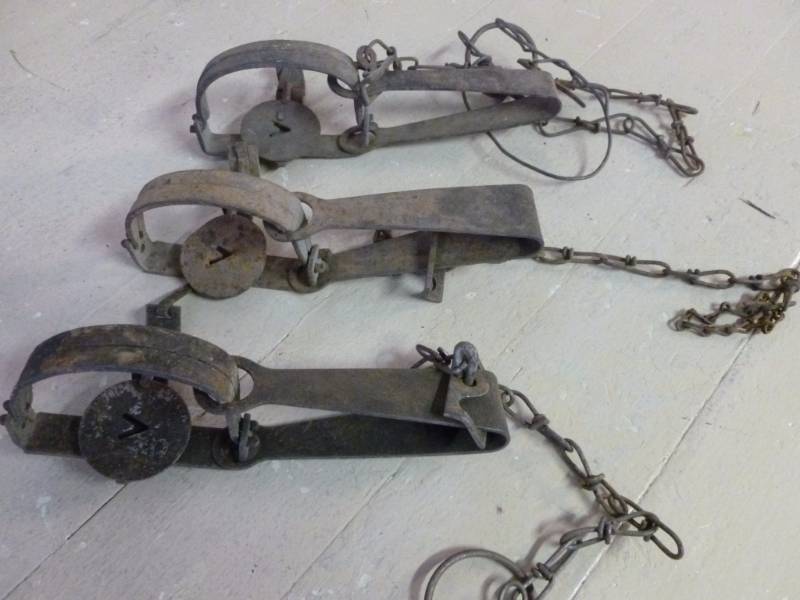 Vintage Traps