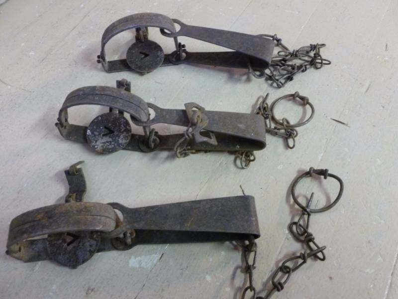 Vintage Traps