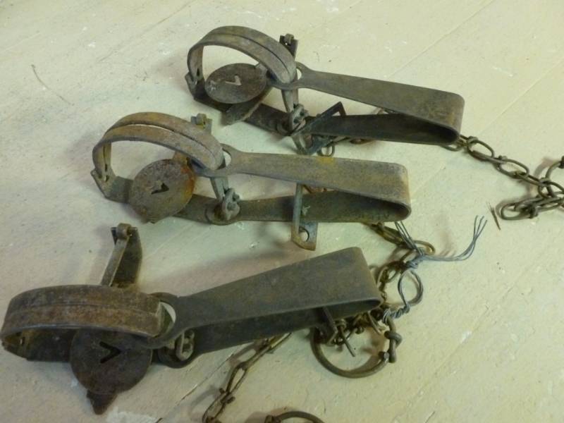 Vintage Traps