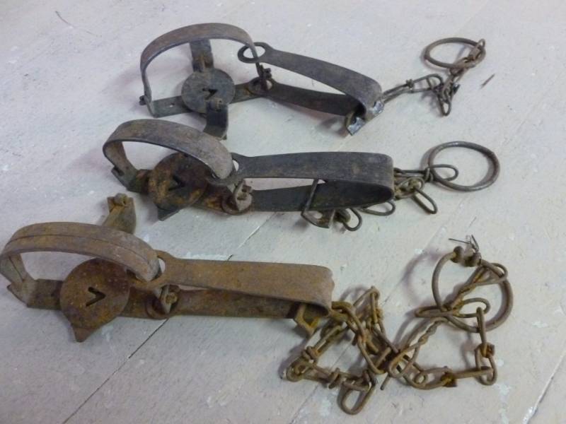 Vintage Traps