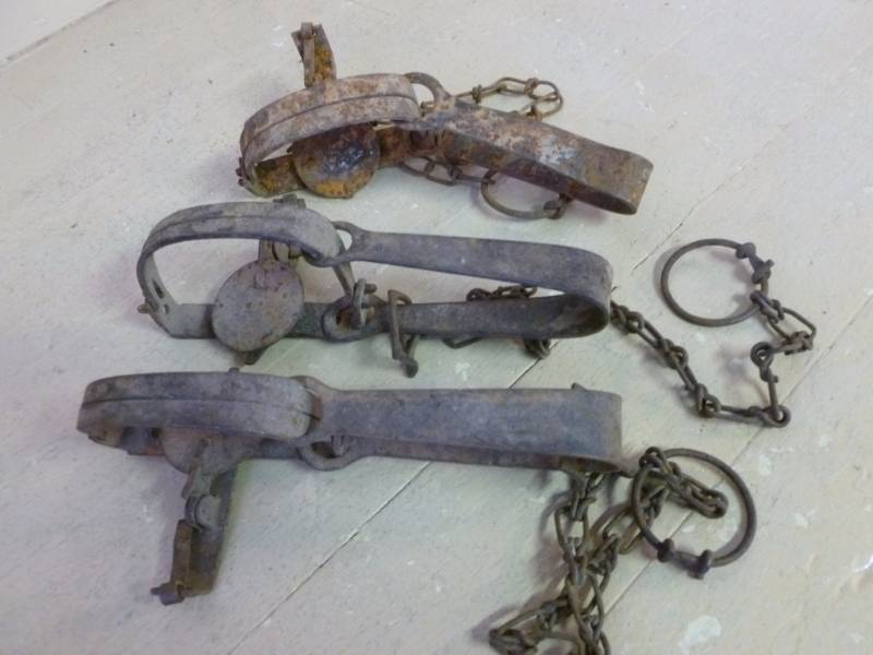 Vintage Traps