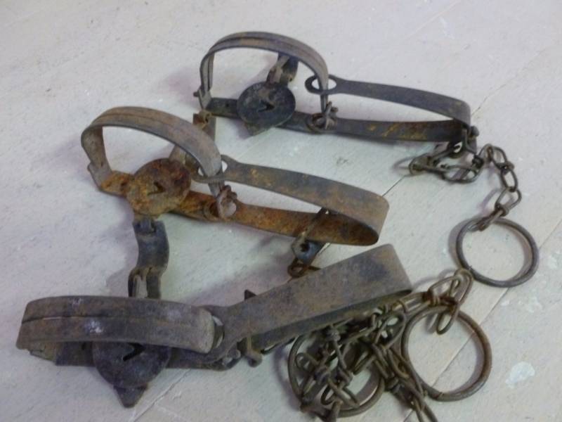 Vintage Traps