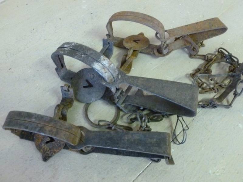 Vintage Traps