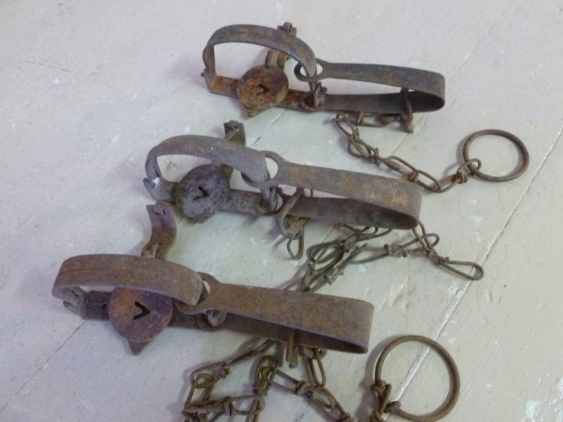 Vintage Traps