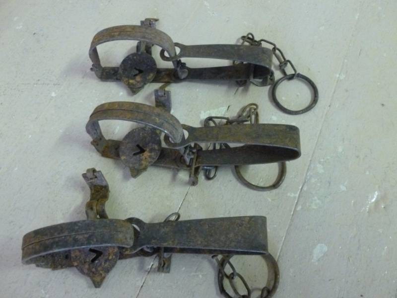 Vintage Traps