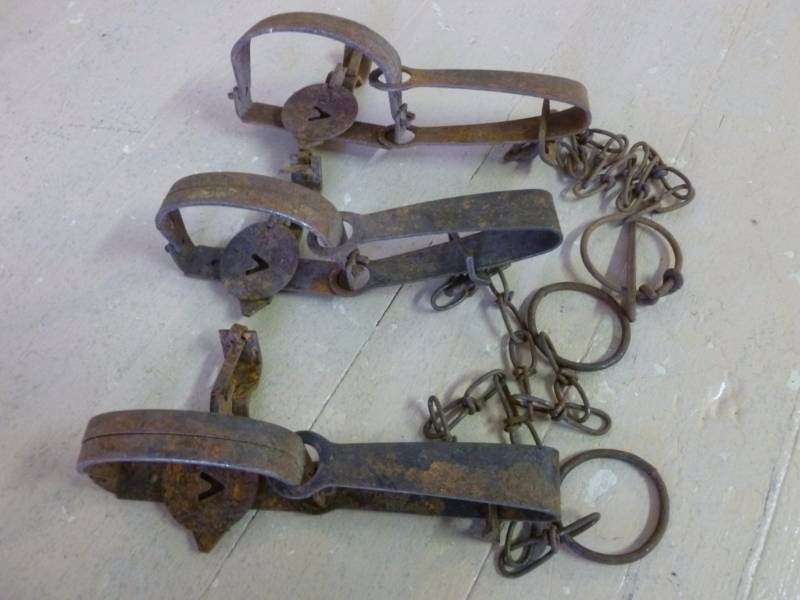 Vintage Traps