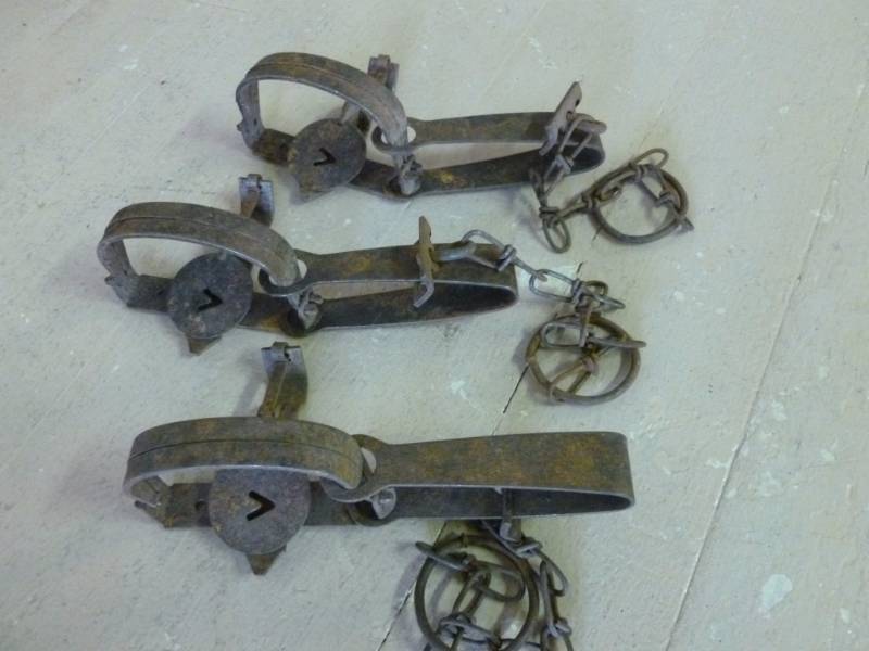 Vintage Traps