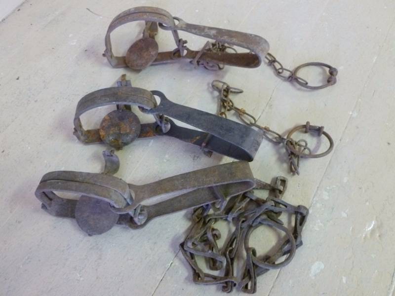 Vintage Traps