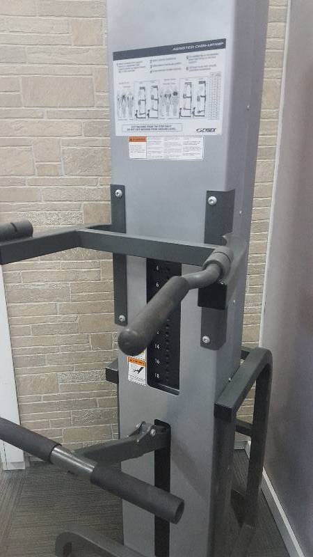 lot 18 image: Cybex Commercial Assisted Chin Dip