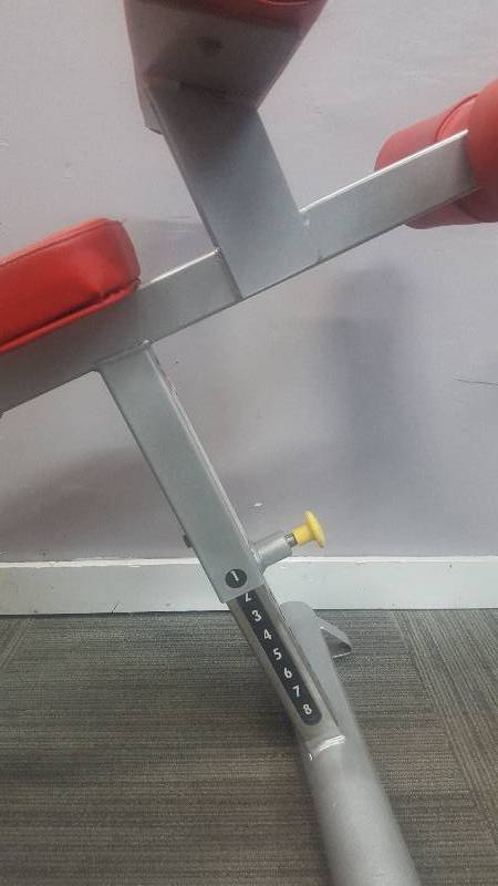lot 20 image: Cybex Decline Bench