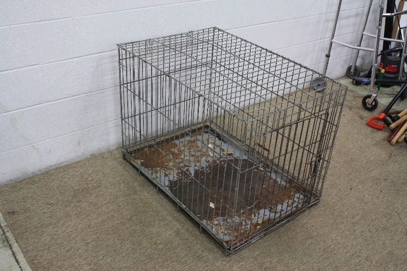 lot 66 image: Metal Dog Kennel
