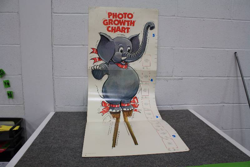 lot 96 image: 5ft Kids Growth Chart with Pictures
