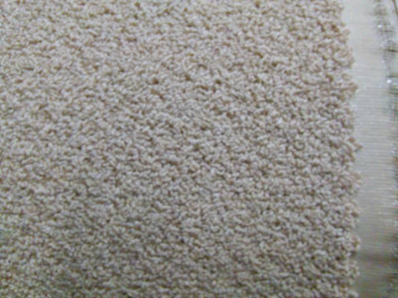 Berber Carpet Cost Per Sq Ft at Stephanie Atwood blog