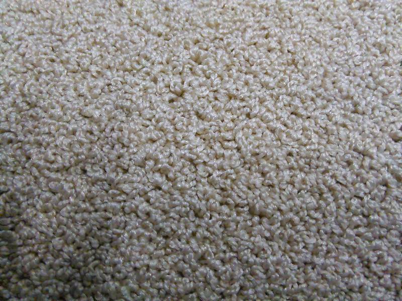 lot 265 image: 12 X 14  Berber Carpet - 168 sq. ft. - $.59 per foot is a $100 bid