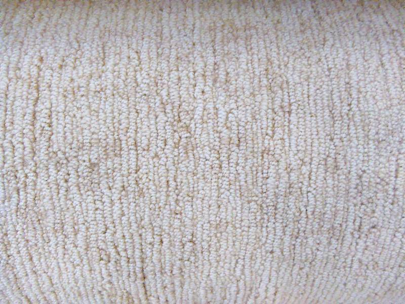 Patterned Berber Carpet 12 ft. X 14 ft. 168 sq. ft. .59 per foot is