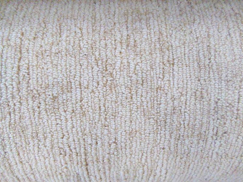 lot 267 image: Patterned Berber Carpet 12 ft. X 14 ft.  168 sq. ft. - $.59 per foot is a $100 bid