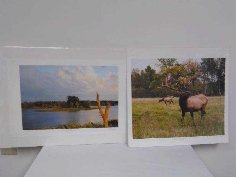 lot 175 image: Tracey Jordet Prints (2) Sand Hills Elk (6500) and Deserted Island (9500)