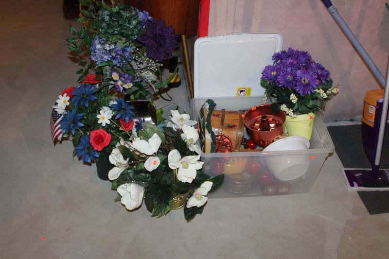 Plants, Bin