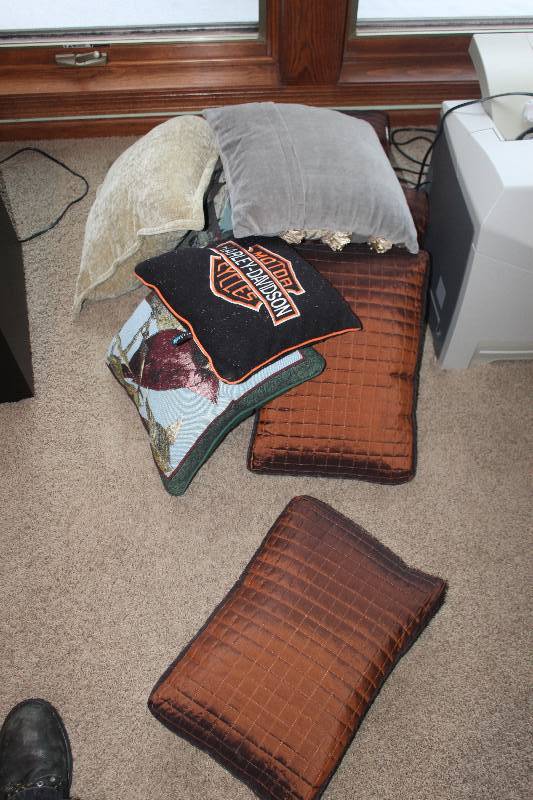 Throw Pillows