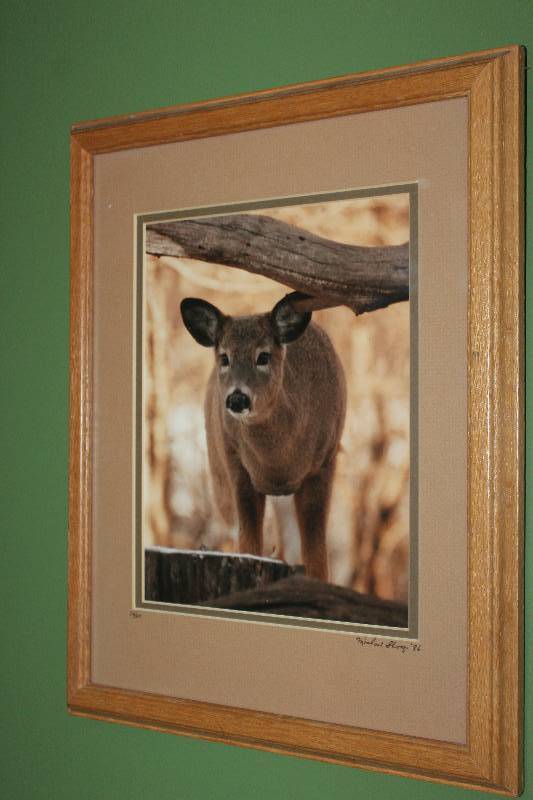 Framed & Matted Wall Art Deer by Michael Shoop 1986 #1650