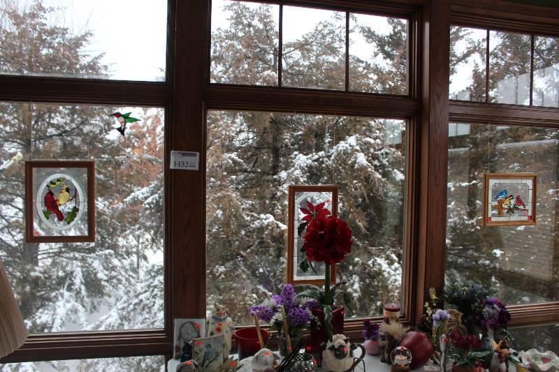 Bird Window Hangings