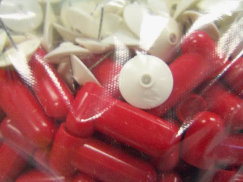 250 Clothing Security Tags - Red