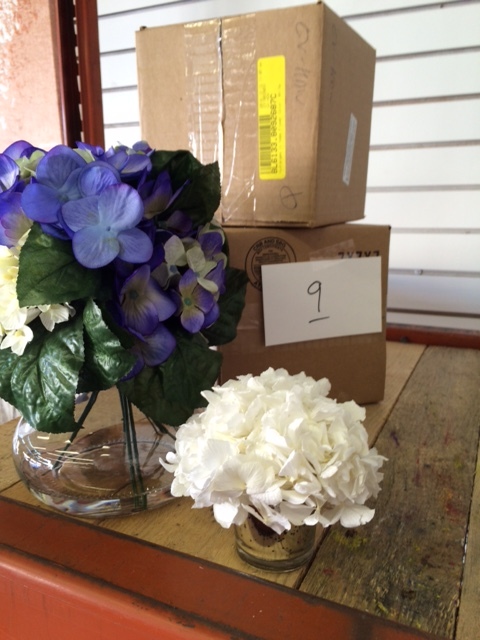 4 Hydrangea Plants in Vases