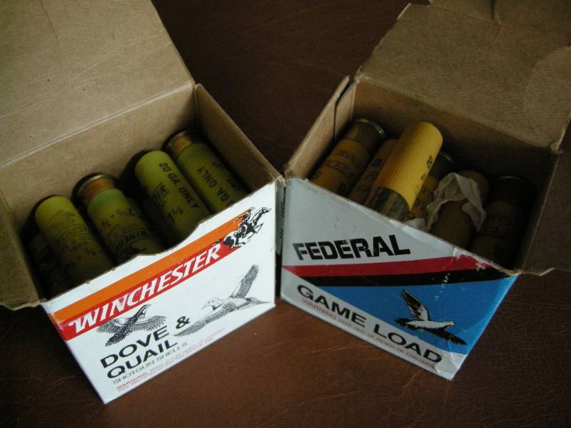 lot 8 image: 20 gauge Ammo
