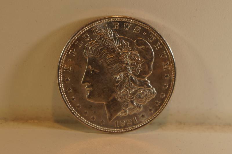 Morgan Silver Dollar