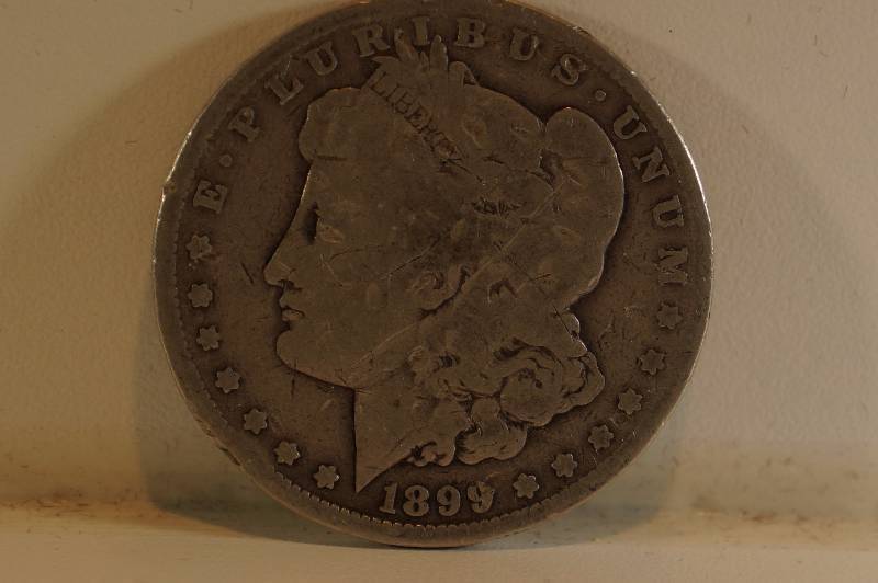 Morgan Silver Dollar