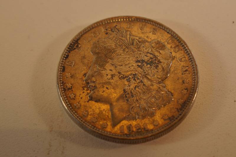 Morgan Silver Dollar