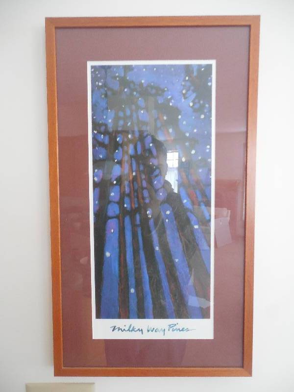 MILKEY WAY PINES FRAMED PRINT