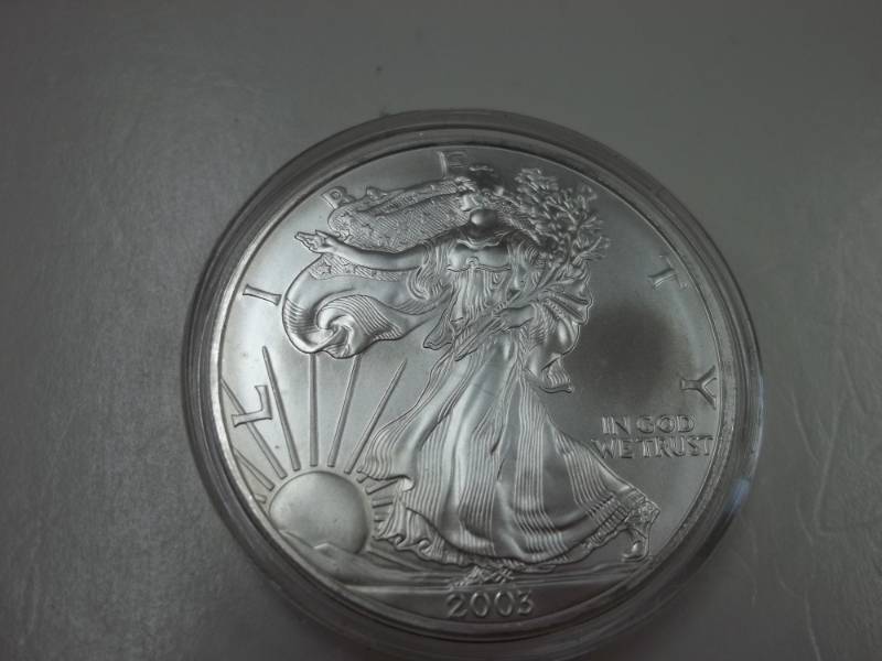 Silver American Eagle 1 Oz. Fine Silver Year 2003 Coin in case