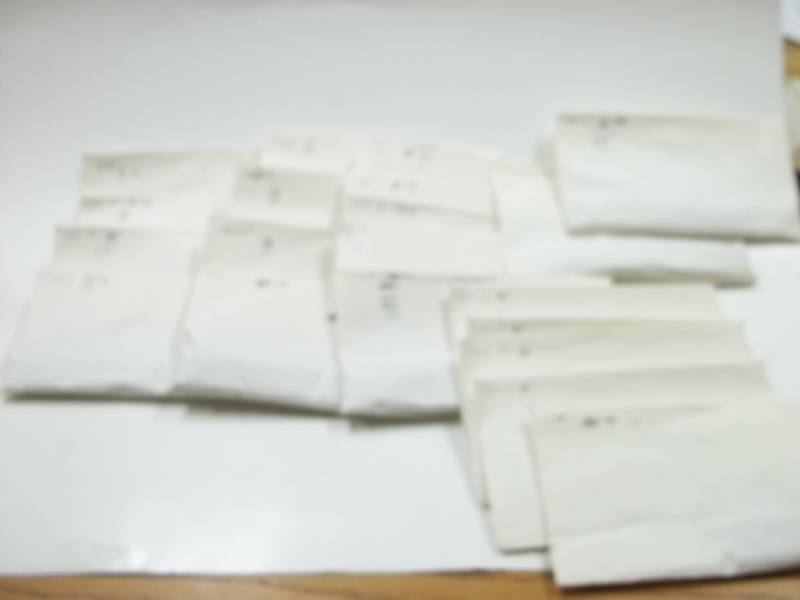 Sorted Pennies with Tote
