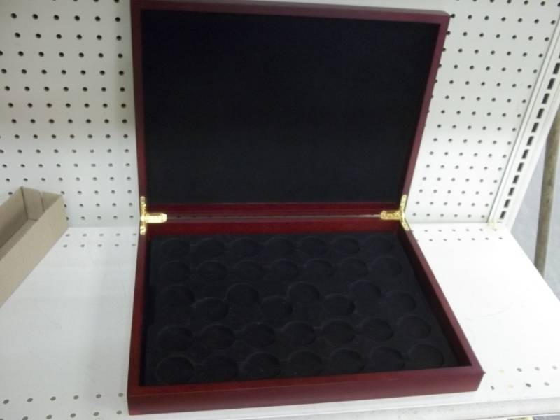 Silver Dollar case