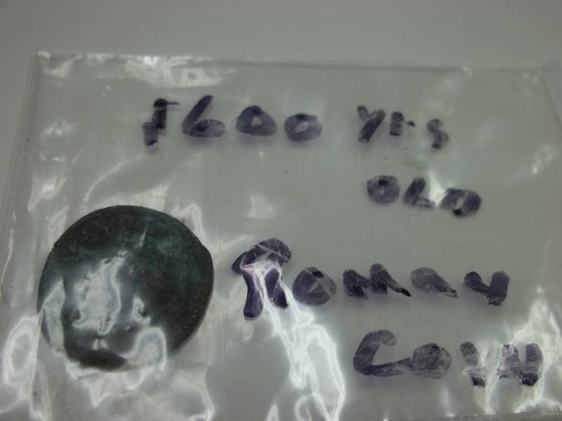 Roman Coin