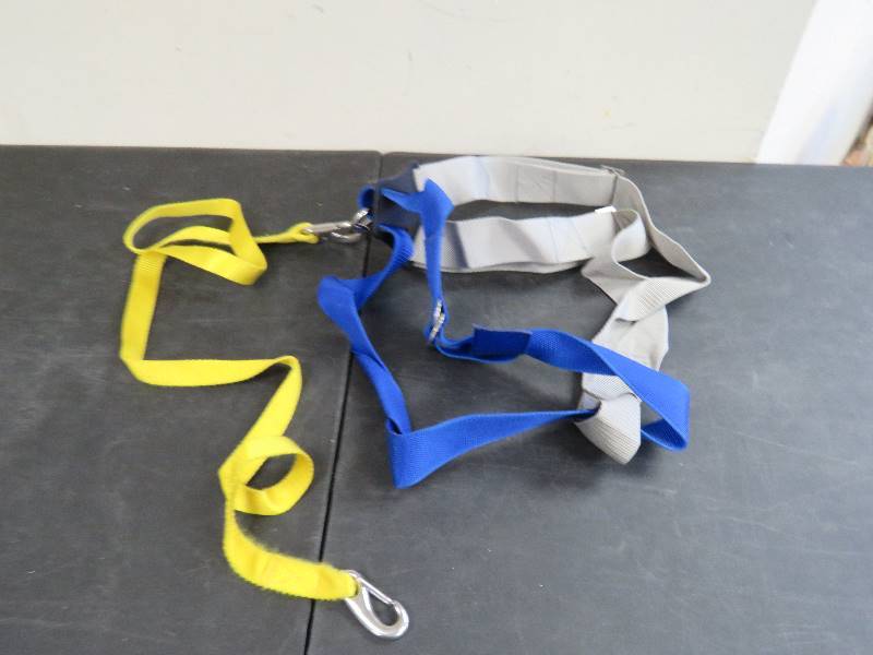 Harness