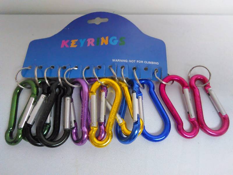 lot 188 image: Spring Link Keychain (12)