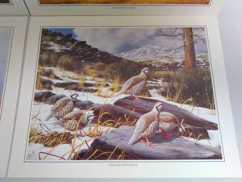 lot 279 image: David Maass Fowl Prints (4)